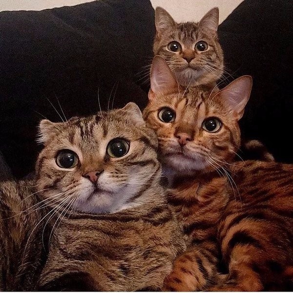 �������� ������