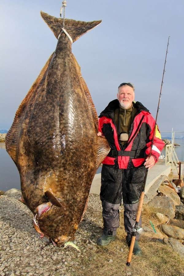 �������� ������