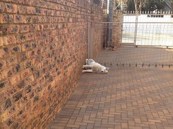 �������� ������