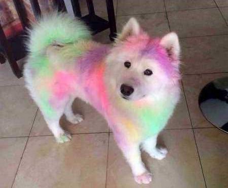 �������� ������