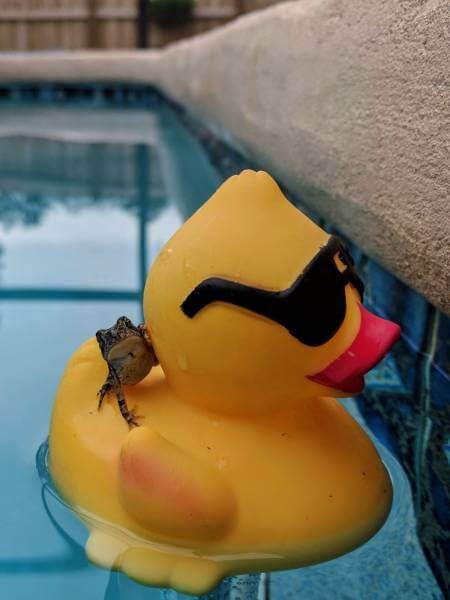 �������� ������