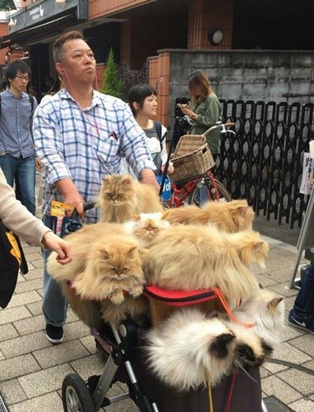 �������� ������