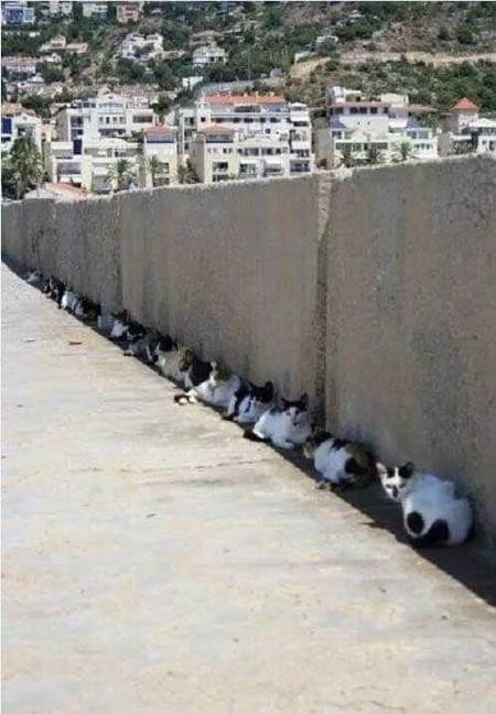 �������� ������