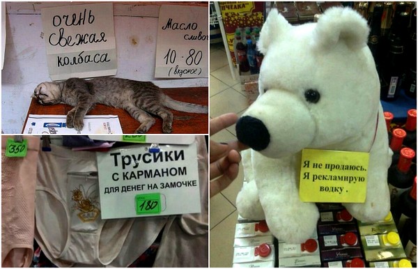 ����������, �������, �������