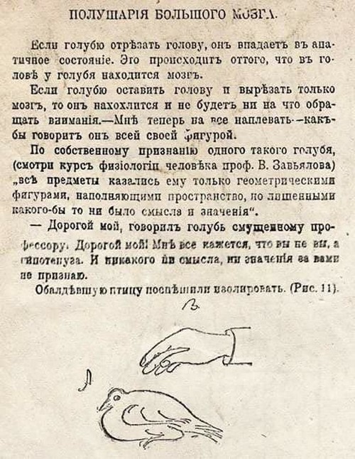 ����������, �������, �������