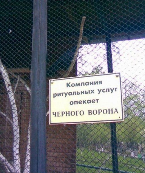 ����������, �������, �������