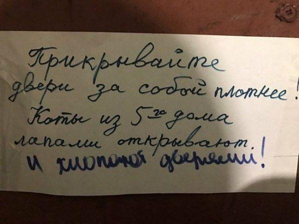 ����������, �������, �������