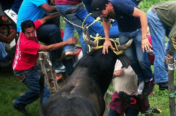 �������� ��������