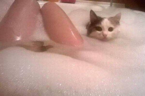 �������� ��������