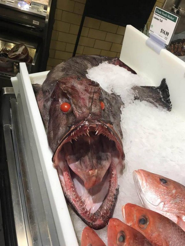 �������� ��������