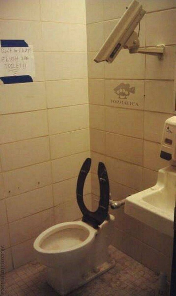 �������� �����, 50 ����