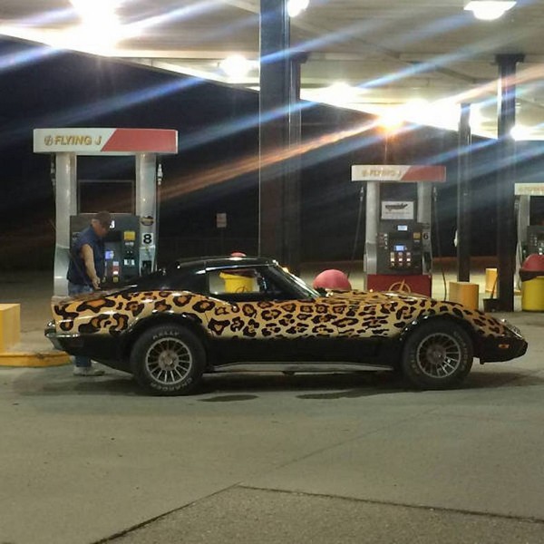 �������� �����, 50 ����