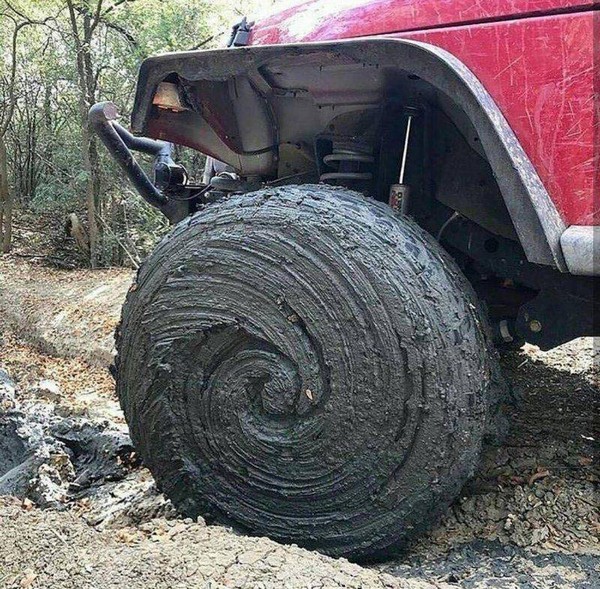 �������� �����, 50 ����