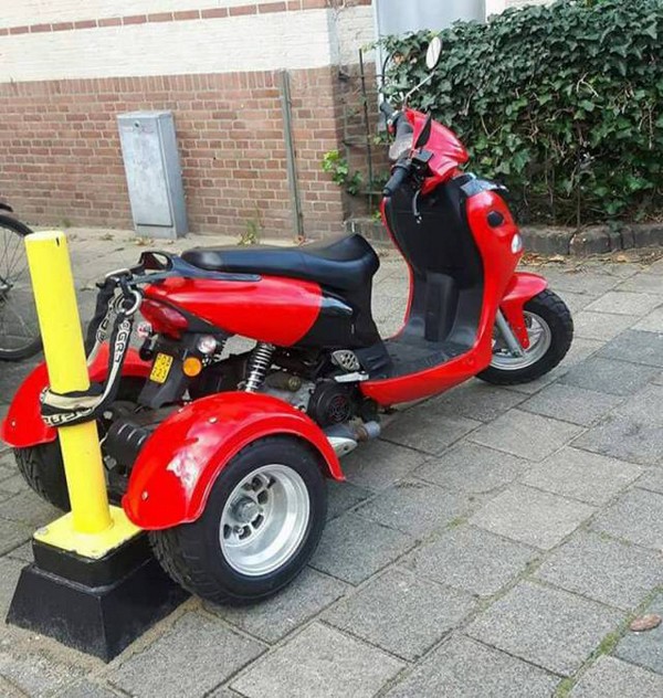 �������� �����, 50 ����