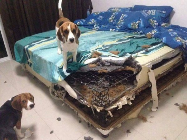 �������� ��������