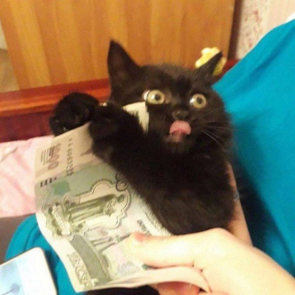 �������� ��������