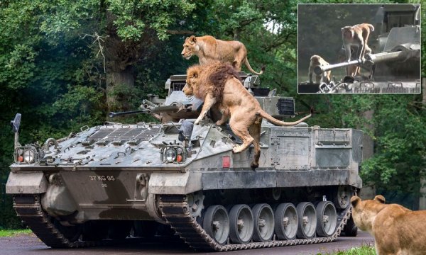 �������� ��������