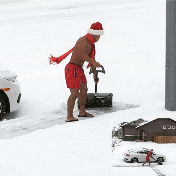 �������� �����, 50 ����