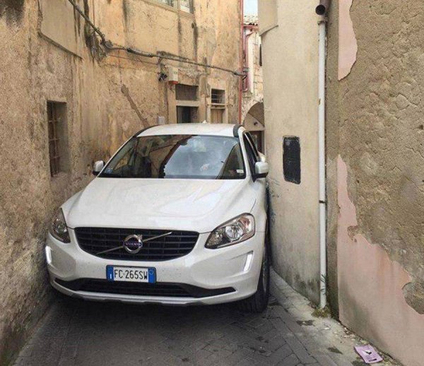 �������� �����, 50 ����