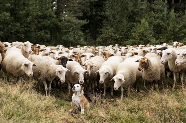 �����-����