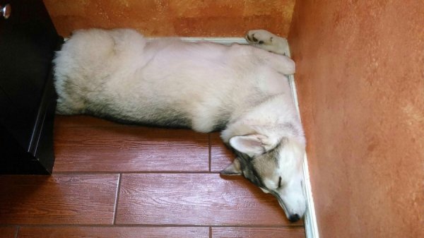 �����-����