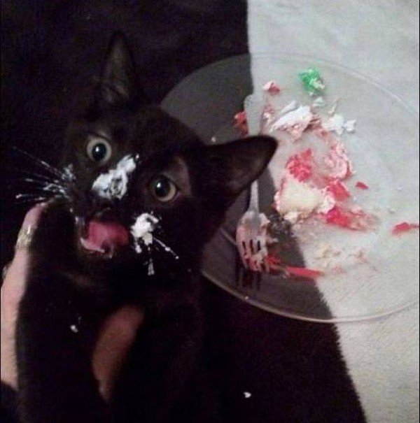 �����-����