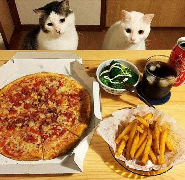 �����-����