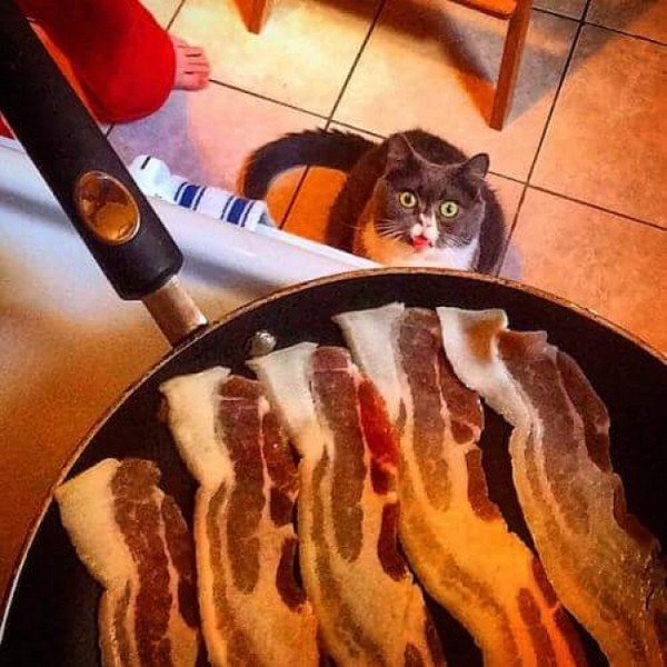 �����-����