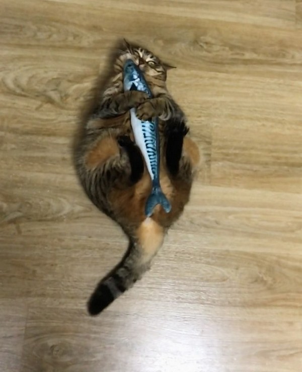 �����-����