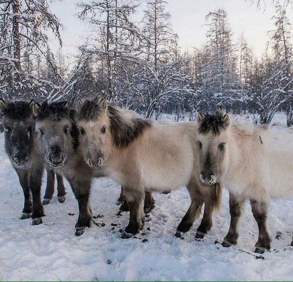 �����-����