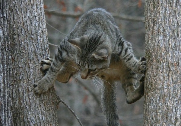 �����-����