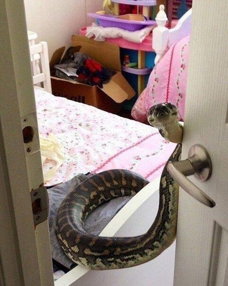 �����-����