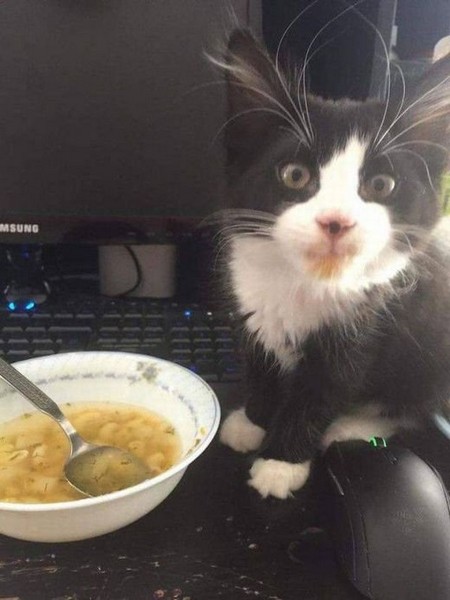 �����-����