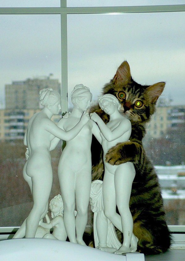 �������� ��������