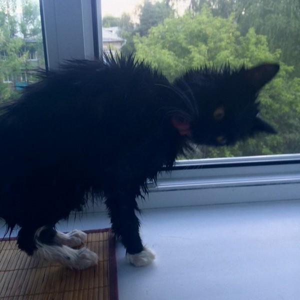 �����, ������ � ������