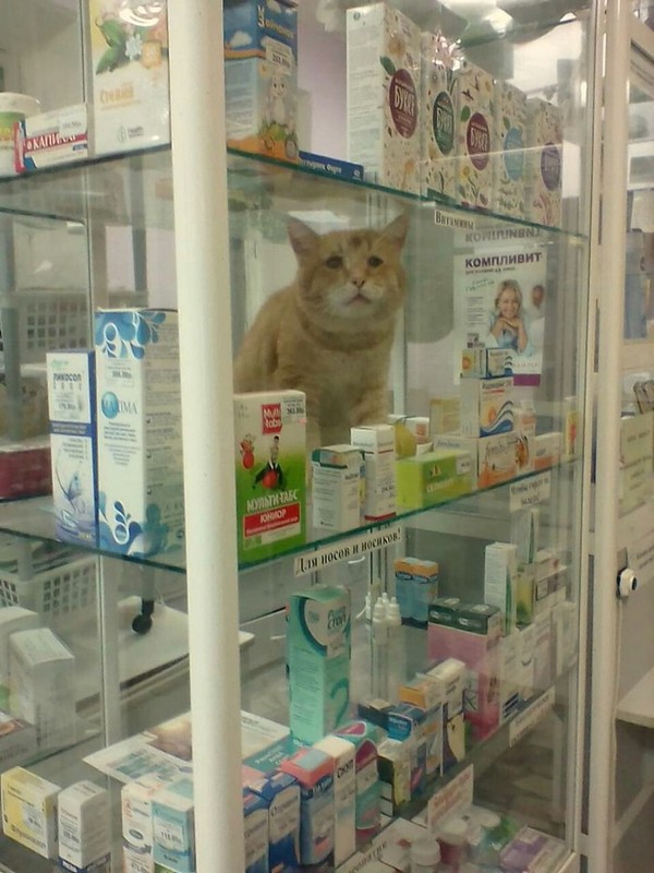 �����, ������ � ������