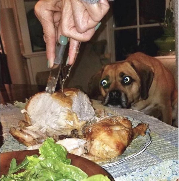 �����, ������ � ������