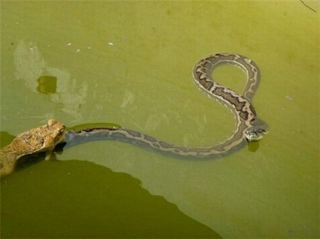 �����, ������ � ������