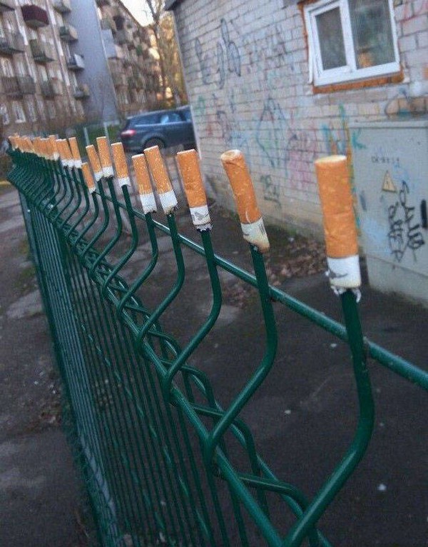 ����� ��������