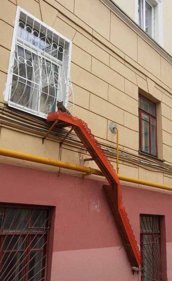 ����� ��������