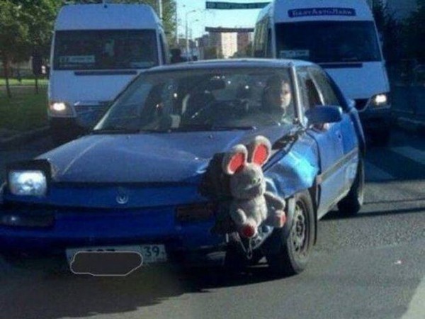 ����� ��������