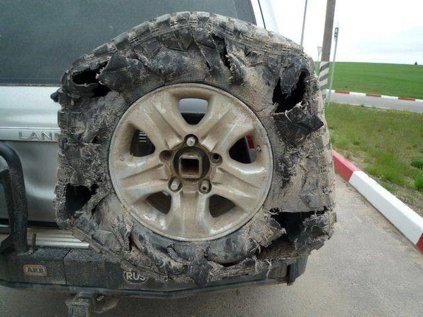 ����� ��������