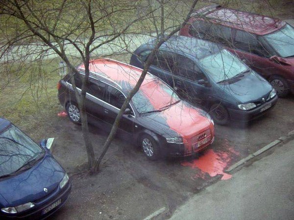 �������� ��������!