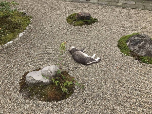 �������� ��������