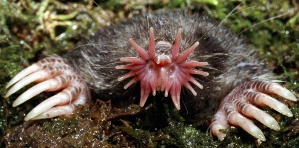 �����, ������ � ������