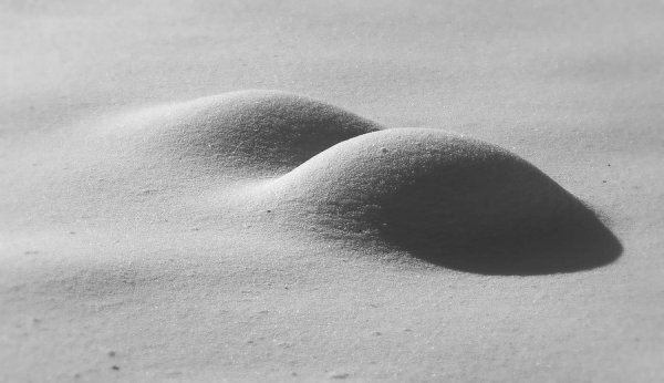 ����� ��������