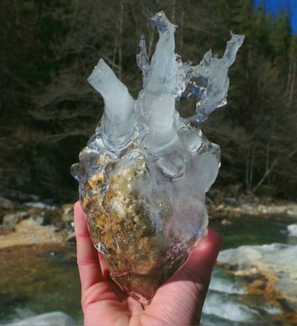 ����� ��������