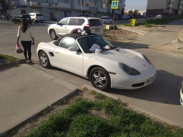 �������� ��������!