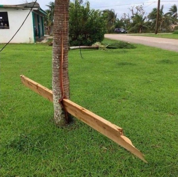 �������� ��������!