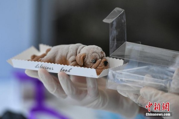 ��������